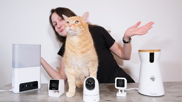 Best Cat Security Cameras