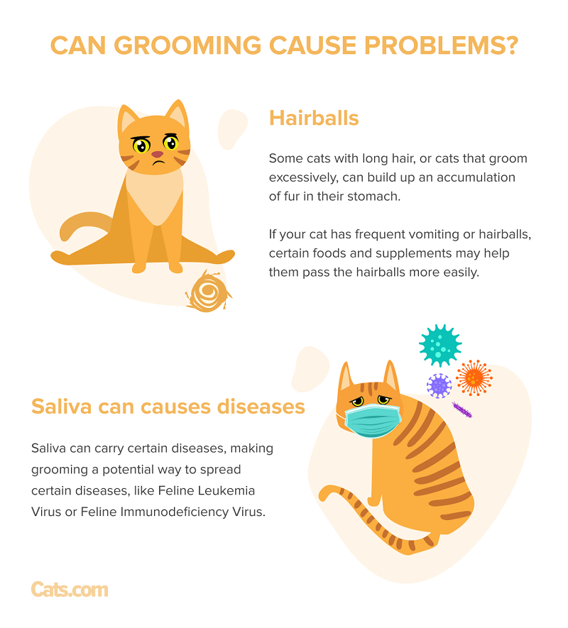 Can grooming cause problems in cats